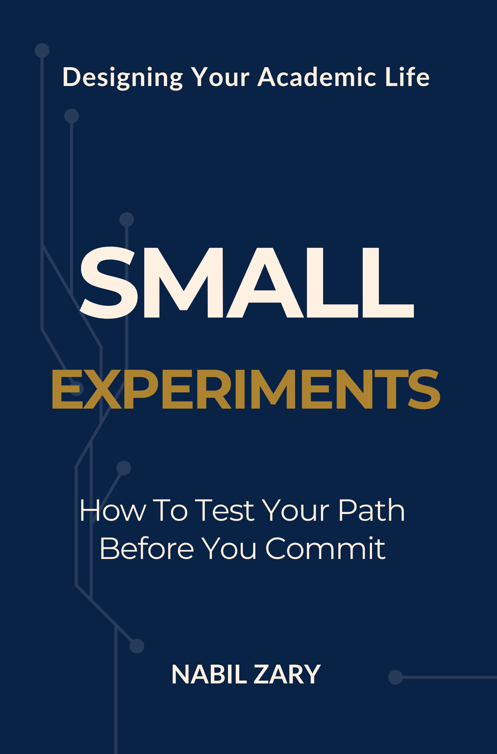 Cover of Small Experiments by Nabil Zary.